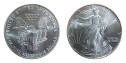 US, 1993 One Dollar 1 ounce Silver 0.999, American Eagle, in capsule UNC