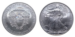 USA, 2008 One Dollar, 1oz 0.999 silver Eagle, aUNC